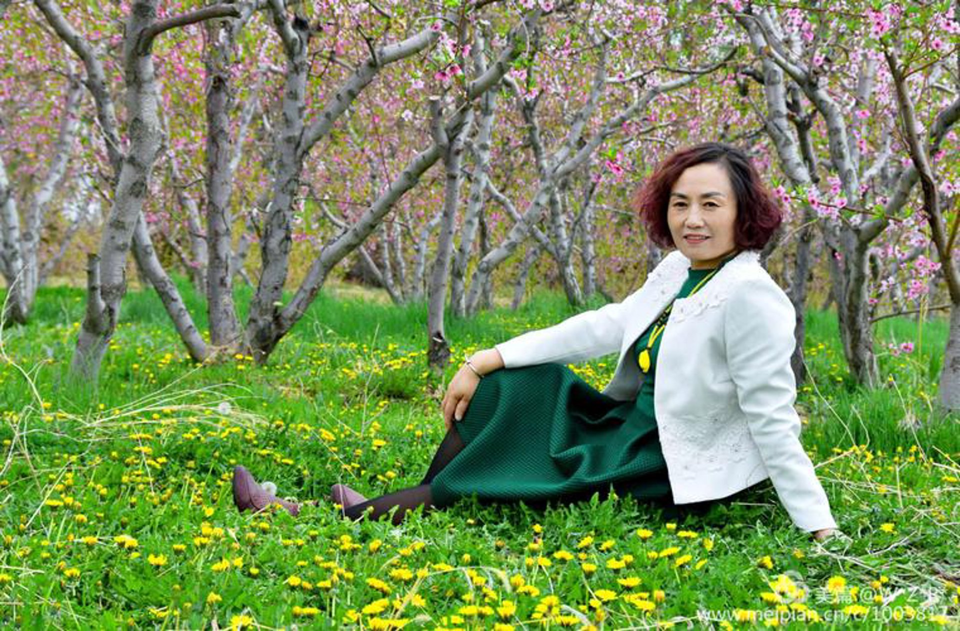 花苁花卉