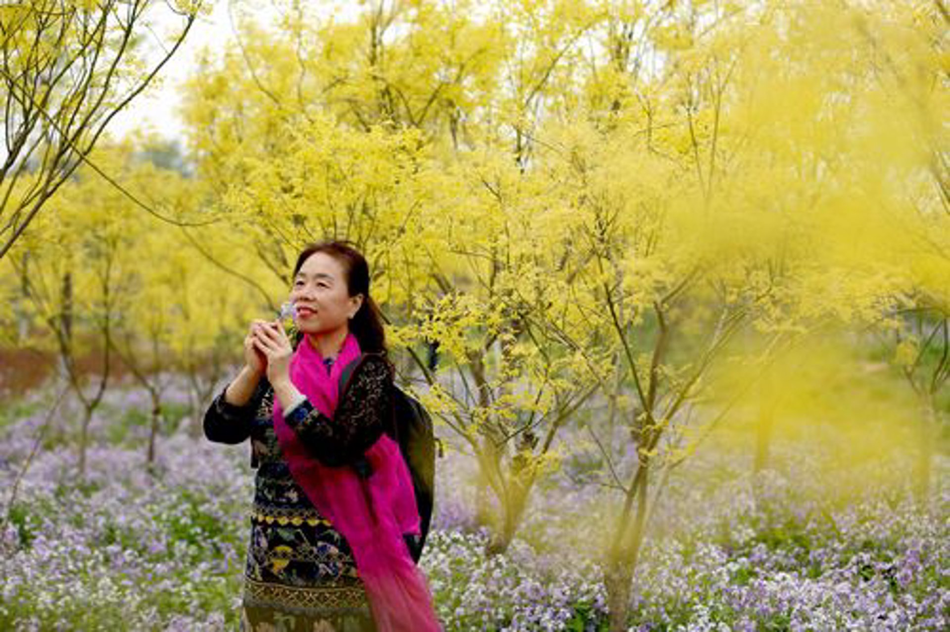 花苁花卉