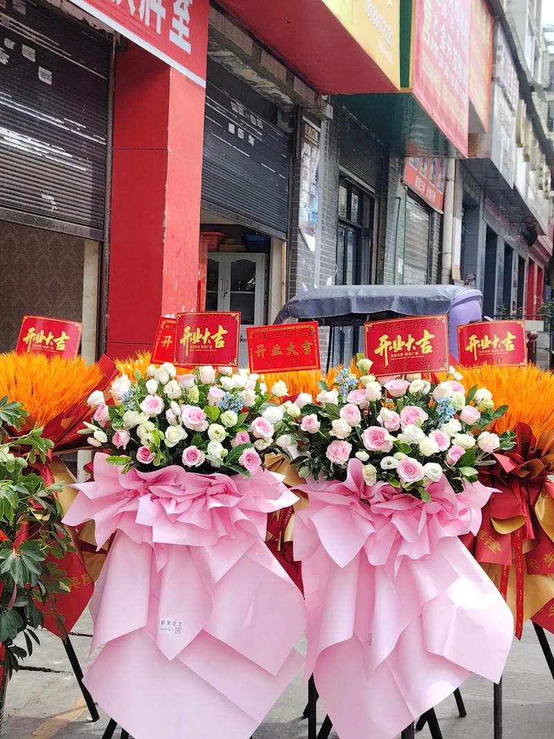 盆栽花卉:城市生活中的一抹绿意